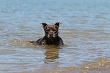 STAFFIE 143